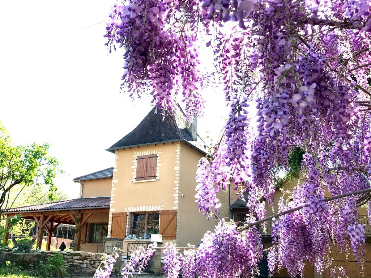 Les Cedres Du Linard, Chambres D'Hotes B&B Near Lascaux, Montignac, Sarlat-La-Caneda, Dordogne La Chapelle-Aubareil Exterior foto