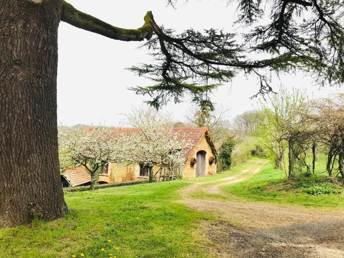 Les Cedres Du Linard, Chambres D'Hotes B&B Near Lascaux, Montignac, Sarlat-La-Caneda, Dordogne La Chapelle-Aubareil Exterior foto