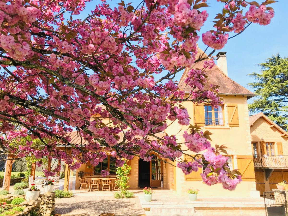 Les Cedres Du Linard, Chambres D'Hotes B&B Near Lascaux, Montignac, Sarlat-La-Caneda, Dordogne La Chapelle-Aubareil Exterior foto